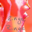 ringe_entwurf_feld4