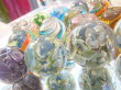 DSC01021