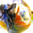 DSC02949