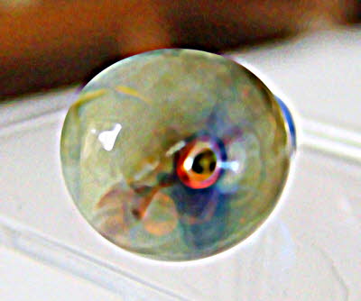DSC04950