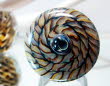 Wechselring_terra twister